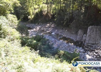 Foto 43 - Appartamento Mulazzo - foto 43