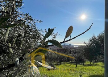 Foto 2 - Terreno edificabile Contrada San Silvestro
 
128, Silvi - foto 2