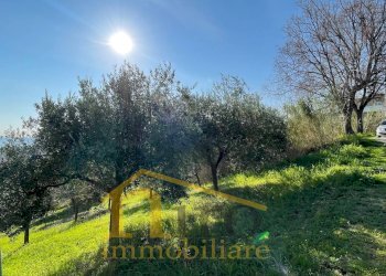 Foto 4 - Terreno edificabile Contrada San Silvestro
 
128, Silvi - foto 4