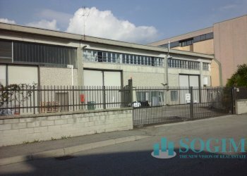 3 - Capannone Pogliano Milanese - foto 3