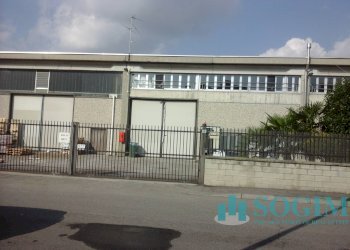 4 - Capannone Pogliano Milanese - foto 4