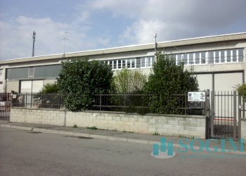 6 - Capannone Pogliano Milanese - foto 6