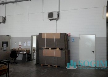 16 - Capannone Pogliano Milanese - foto 16