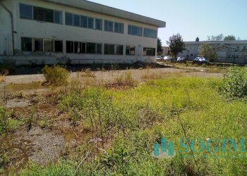 3 - Capannone Bareggio - foto 4