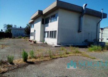 7 - Capannone Bareggio - foto 8