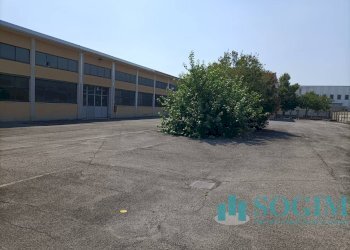 Foto 9 - Capannone Via Misericordia
 
33, Vedano al Lambro - foto 9