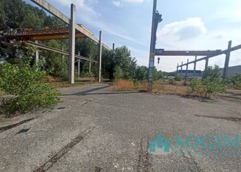 Foto 3 - Terreno edificabile Via delle Guardie
 
snc, Casalmaiocco - foto 3