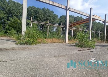 Foto 4 - Capannone Via Delle Guardie
 
snc, Casalmaiocco - foto 4