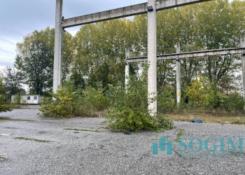 Foto 7 - Capannone Via Delle Guardie
 
snc, Casalmaiocco - foto 7