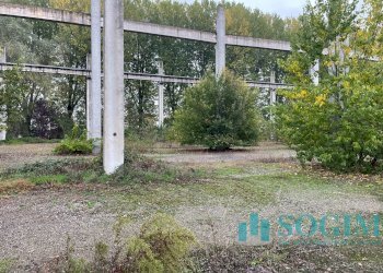 Foto 13 - Capannone Via Delle Guardie
 
snc, Casalmaiocco - foto 13