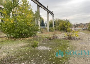 Foto 15 - Capannone Via Delle Guardie
 
snc, Casalmaiocco - foto 15