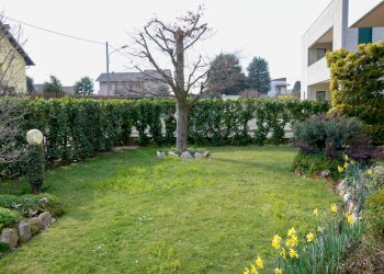 Foto 10 - Capannone Via Monte Golico, Samarate - foto 10