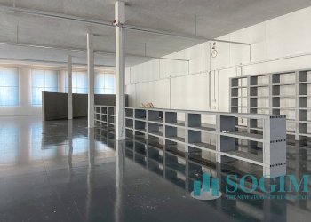 Foto 14 - Capannone via pegoraro
 
26, Gallarate - foto 14