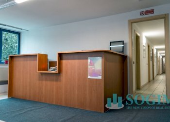 Foto 33 - Capannone Via Caravaggio, Desio - foto 33