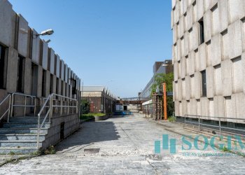 Foto 5 - Capannone Via Margherita Viganò de Vizzi
35, Cinisello Balsamo - foto 5