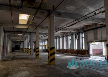 Foto 12 - Capannone Via Margherita Viganò de Vizzi
35, Cinisello Balsamo - foto 12