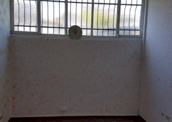 Foto 26 - Capannone Opera - foto 26