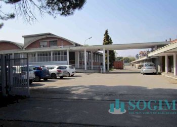 Foto 4 - Capannone Pasubio
10, Tradate - foto 4