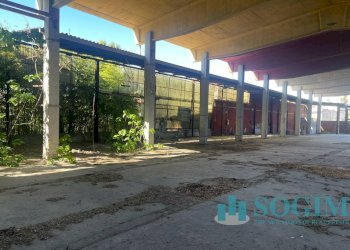 Foto 9 - Capannone Milano - foto 9