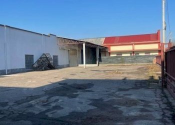 Foto 1 - Capannone Gorla Maggiore - foto 1