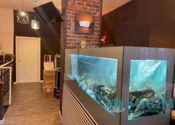 Foto 4 - Commercial Activity viale isonzo, Milano - photo 4