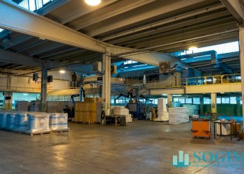 Foto 5 - Capannone Via Bergamo
15, Pioltello - foto 5