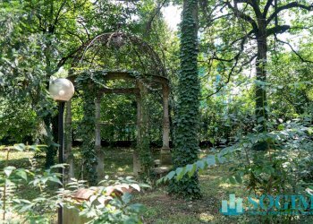 Foto 18 - Locale Commerciale via Risorgimento
 
1, Monza - foto 18