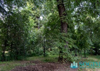 Foto 36 - Locale Commerciale via Risorgimento
 
1, Monza - foto 36