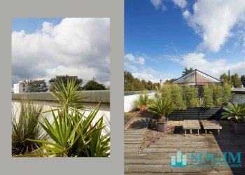 Foto 7 - Ufficio via pegoraro
 
26, Gallarate - foto 7