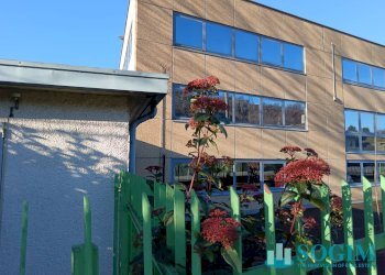 Foto 27 - Capannone via Papa Giovanni XXIII
 
19, Missaglia - foto 27