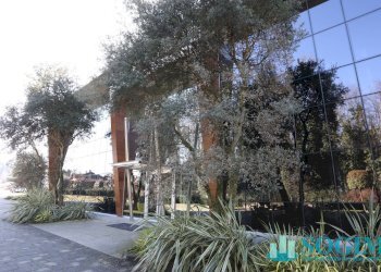 Foto 64 - Capannone maggi
 
120, Lesmo - foto 64