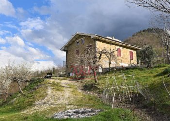 Foto 17 - Rustico VIA BARCHETTA
 
snc, Monte San Martino - foto 17