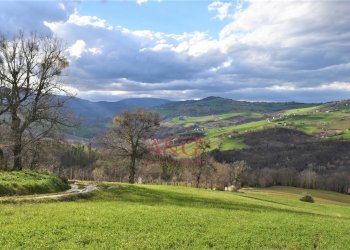 Foto 49 - Rustico VIA BARCHETTA
 
snc, Monte San Martino - foto 49