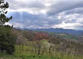 Foto 52 - Rustico VIA BARCHETTA
 
snc, Monte San Martino - foto 52