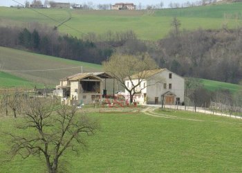 Foto 4 - Rustic Amandola - photo 4