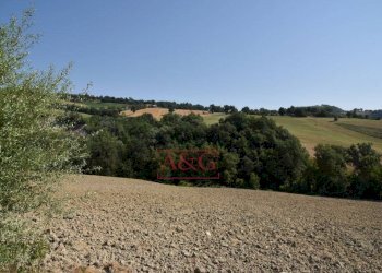 Foto 18 - Rustic Amandola - photo 18