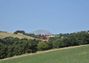 Foto 20 - Rustic Amandola - photo 20