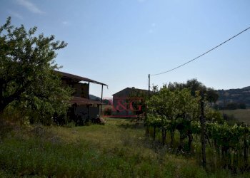 Foto 21 - Rustic Amandola - photo 21