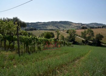 Foto 22 - Rustic Amandola - photo 22