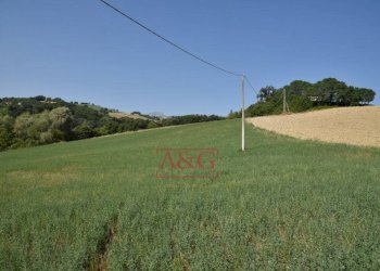 Foto 23 - Rustic Amandola - photo 23