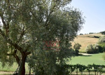 Foto 28 - Rustic Amandola - photo 28