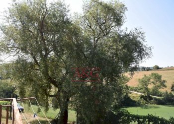 Foto 29 - Rustic Amandola - photo 29