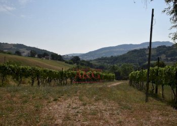 Foto 30 - Rustic Amandola - photo 30