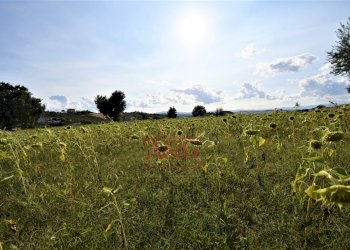 Foto 49 - Appartamento CONTRADA POGGIO
 
19, Mogliano - foto 49