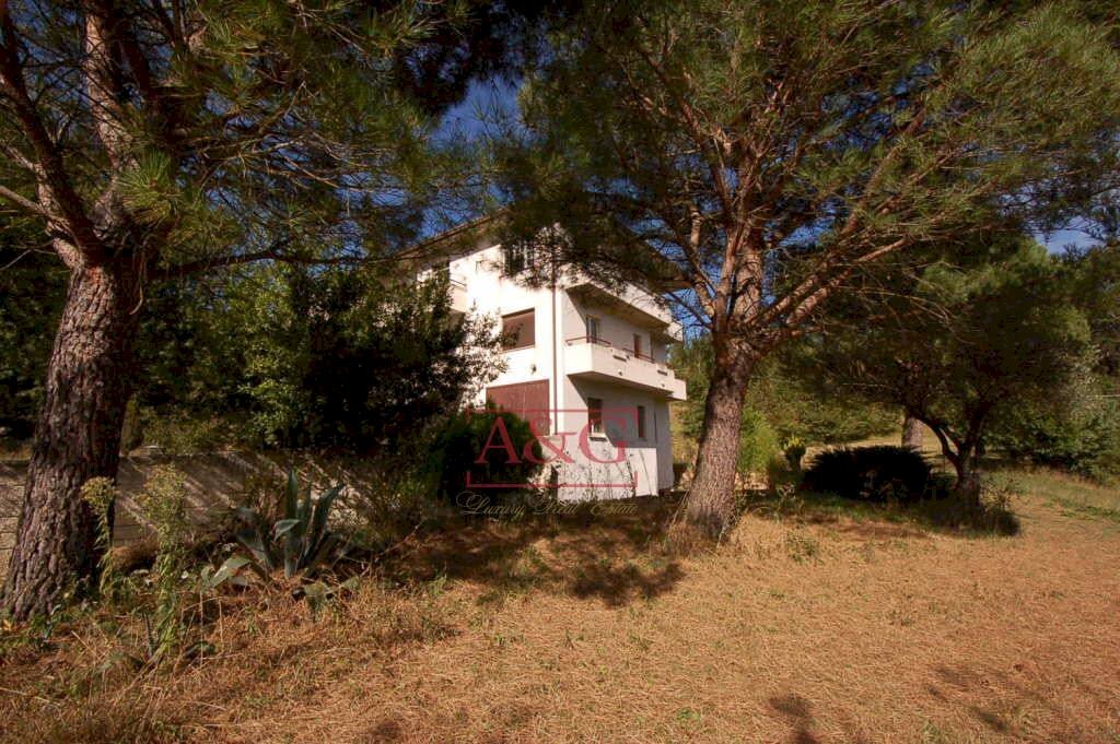 Foto 2 - Appartamento amandola, Amandola - foto 2