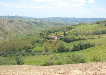 Foto 13 - Rustico ripaberarda, Castignano - foto 13