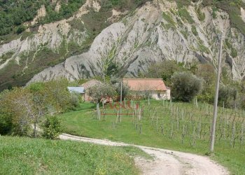 Foto 11 - Rustico ripaberarda, Castignano - foto 11