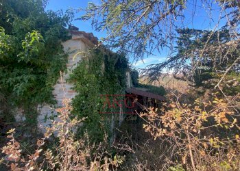 Foto 5 - Rustico FIASTRA, Ripe San Ginesio - foto 5