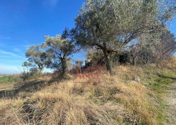 Foto 9 - Rustico FIASTRA, Ripe San Ginesio - foto 9