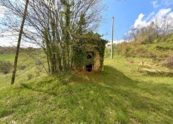 Foto 8 - Rustico montefalcone, Montefalcone Appennino - foto 8